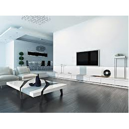 Definitive Technology DI 6.5R